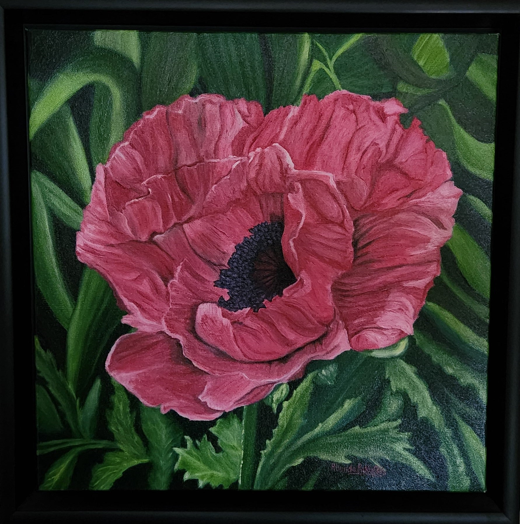 Fushia Poppy by Rhonda Rakofsky