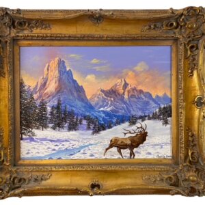 Winter at Rocky Mountain by Maurice Green